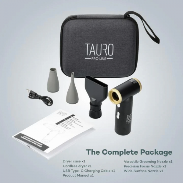 TAURO PRO LINE – Kabelloser Mini Föhn – schwarz, leicht & leistungsstark, inkl. 3 Aufsätze, USB-C